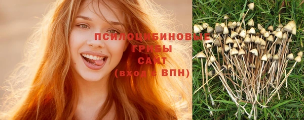 COCAINE Богородск