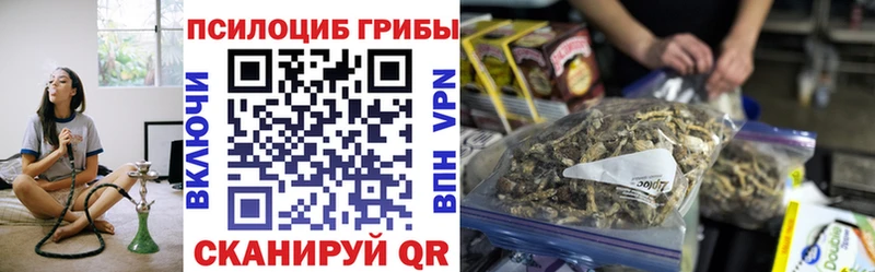Псилоцибиновые грибы Psilocybe  сколько стоит  Волгореченск 